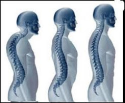 Spine Dr Tova